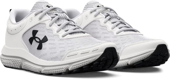 Кроссовки Under Armour UA Charged Assert 10 3026175-104