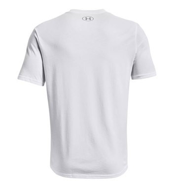 Футболка Under Armour UA BIG LOGO 2.0 SS 1370520-100