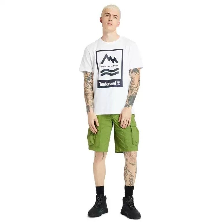 Футболка Timberland TBLA2FNH/100