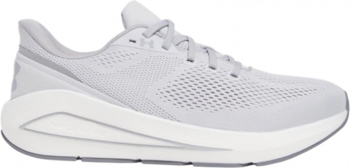 Кроссовки Under Armour UA Sonic 7 3028002-101