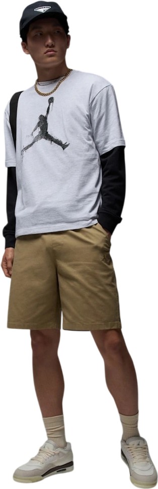 Футболка Nike M J BRK COL JUMPMAN SS CREW HQ8925-051