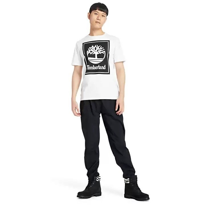 Футболка Timberland TBLA2AJ1/P54