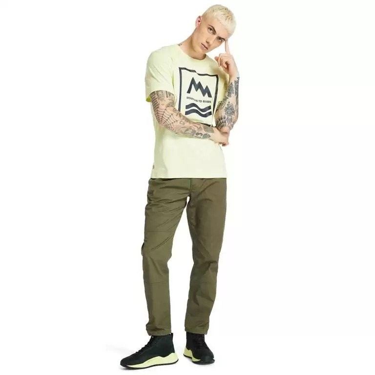 Футболка Timberland TBLA2FNH/322