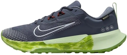 Кроссовки Nike JUNIPER TRAIL 2 GTX FB2067-403