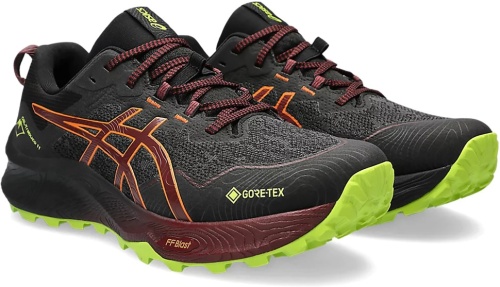 Кроссовки Asics GEL-Trabuco 11 GTX 1011B608-003