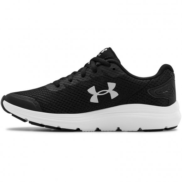 Кроссовки Under Armour UA W Surge 2 3022605-001