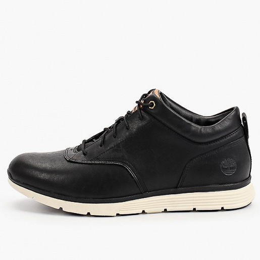 Ботинки Timberland TBLA1Z5ZW