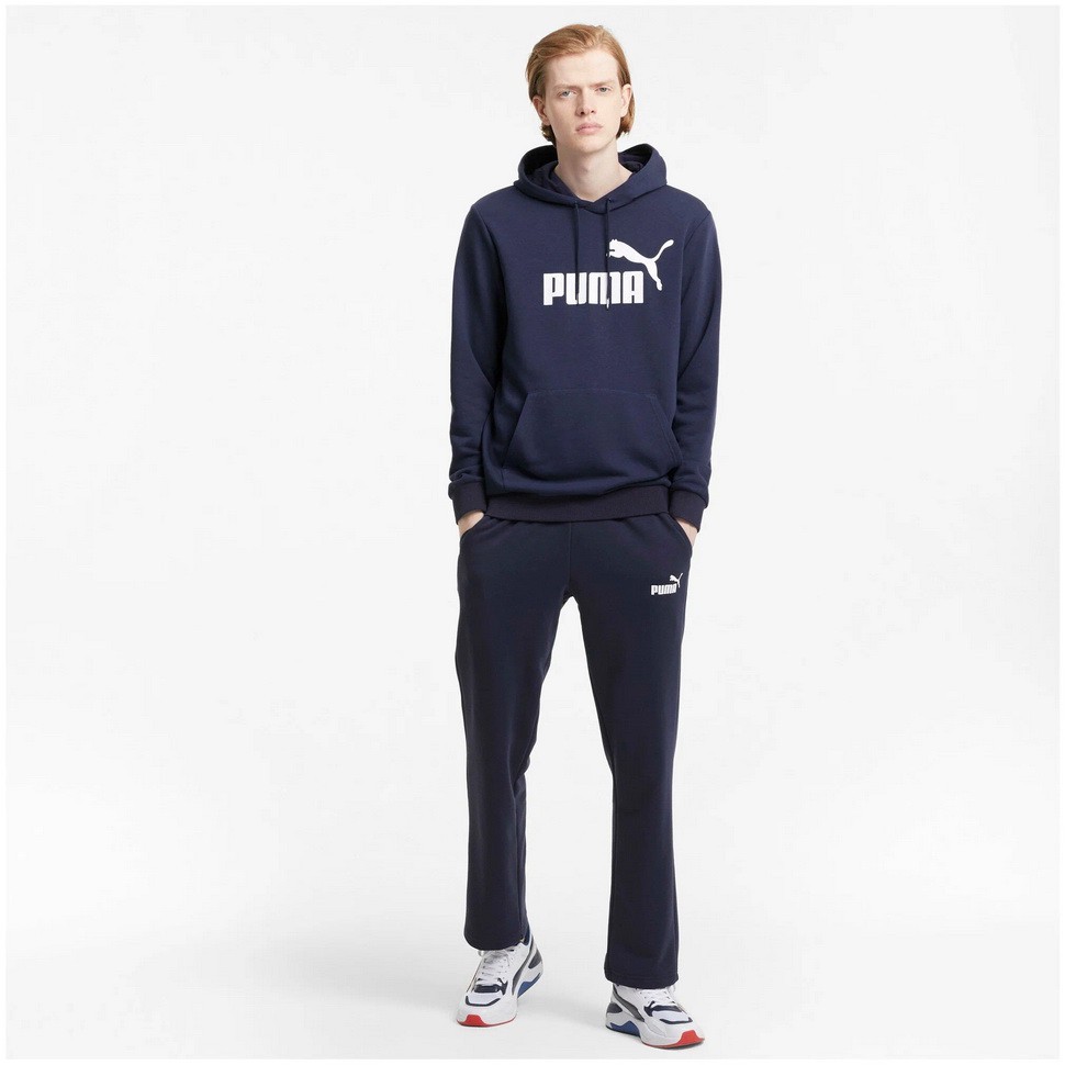 Толстовка Puma ESS Big Logo Hoodie TR 58668806