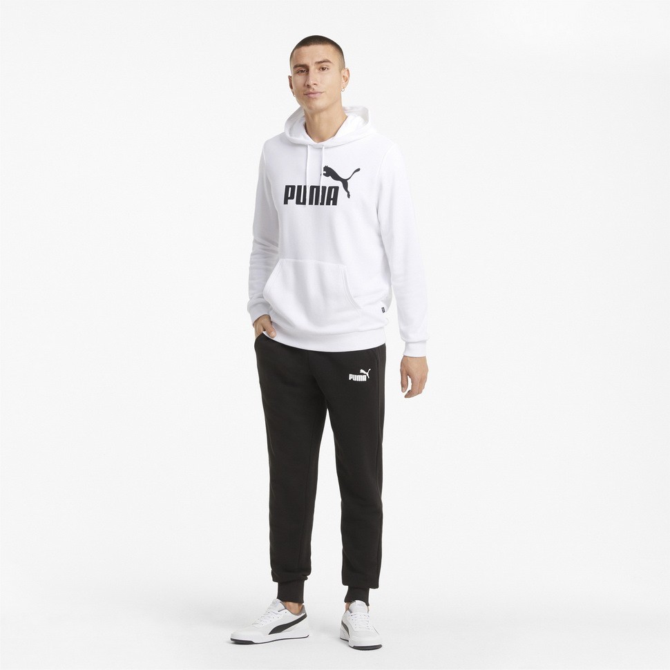 Толстовка Puma ESS Big Logo Hoodie TR 58668802