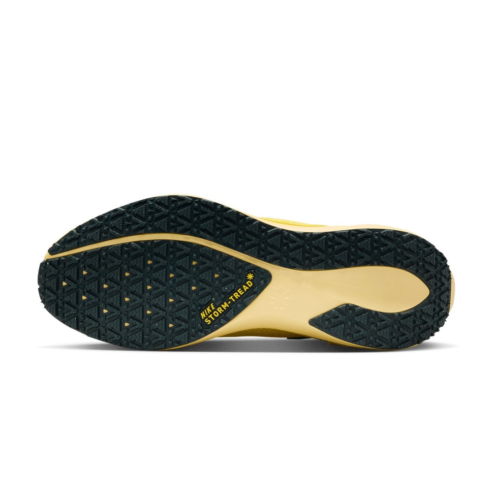 Кроссовки Nike AIR ZM PEGASUS 41 GTX FQ1356-700