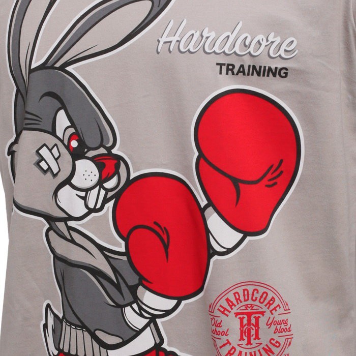 Футболка Hardcore Training Surprise Surprise Grey hctshirt0277