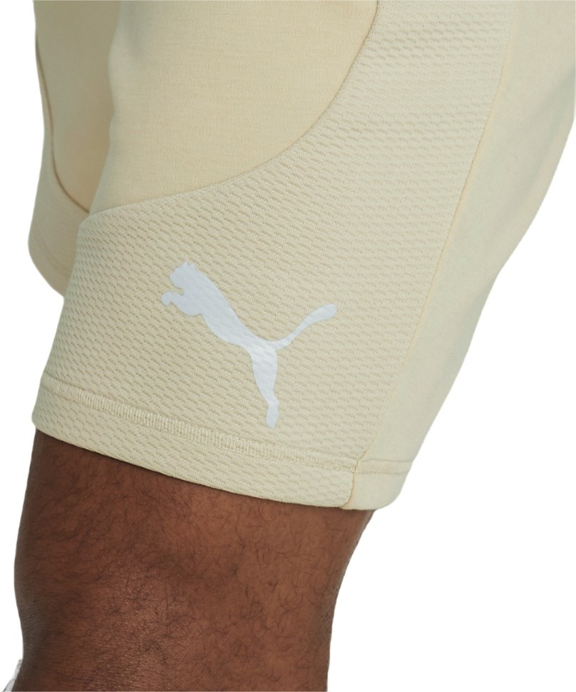 Шорты Puma EVOSTRIPE Shorts 8 DK 67331488