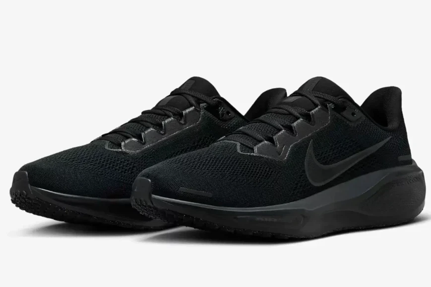 Кроссовки NIKE AIR ZOOM PEGASUS 41 FD2722-001