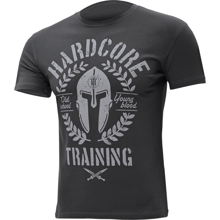 Футболка Hardcore Training Helmet Slate Gray hctshirt0482