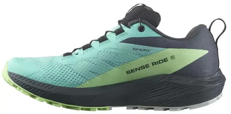 Кроссовки Salomon SENSE RIDE 5 GTX L47216000