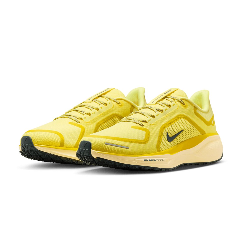 Кроссовки Nike AIR ZM PEGASUS 41 GTX FQ1356-700
