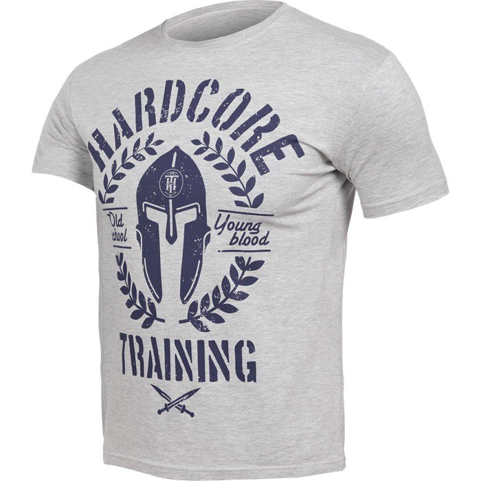 Футболка Hardcore Training Helmet Grey hctshirt0331