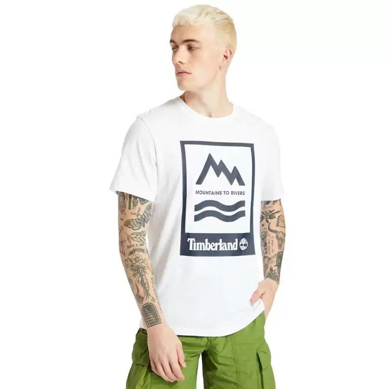 Футболка Timberland TBLA2FNH/100