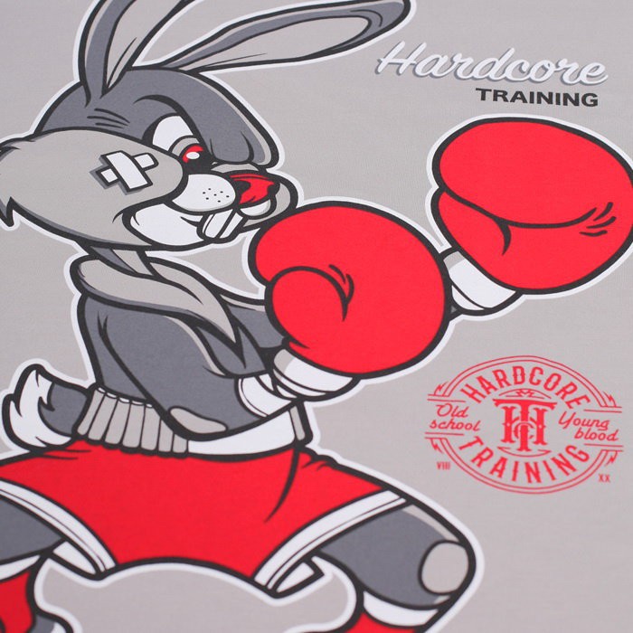 Футболка Hardcore Training Surprise Surprise Grey hctshirt0277