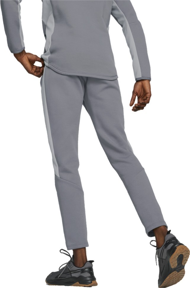 Брюки Puma EVOSTRIPE Pants DK 67331569