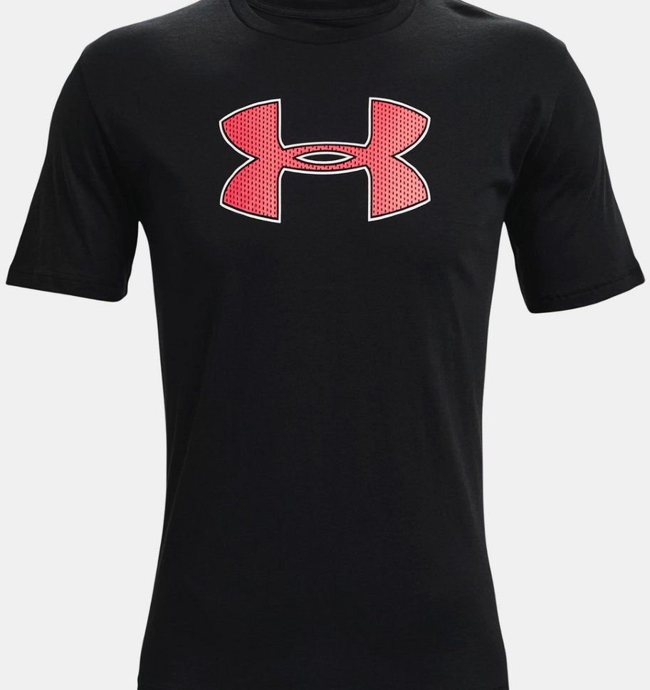 Футболка Under Armour UA BIG LOGO SS 1329583-003