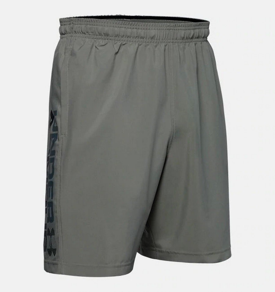 Шорты Under Armour Woven Graphic Wordmark Shorts 1320203-388