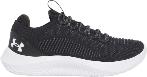 Кроссовки Under Armour UA Dynamic 2 3028076-014
