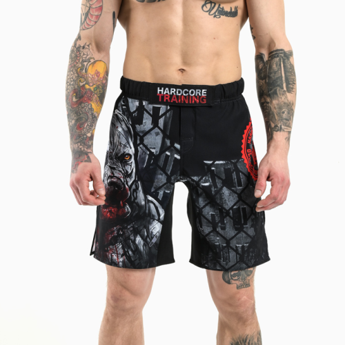 Шорты Hardcore Training PitbullCity hctshorts018