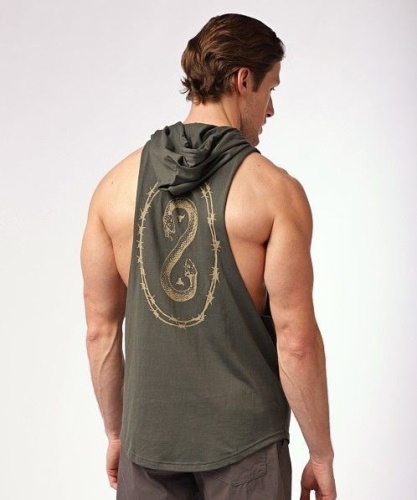 Толстовка Under Armour Pjt Rck Snake SL HD 1389987-310