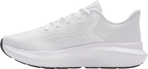 Кроссовки Under Armour UA Charged Rogue 5 3028256-100