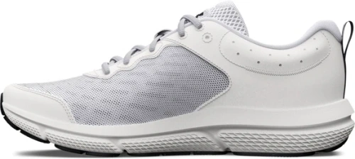 Кроссовки Under Armour UA Charged Assert 10 3026175-104