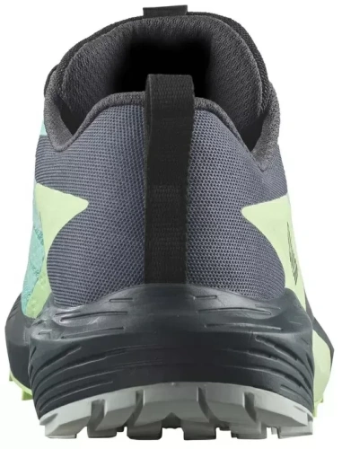 Кроссовки Salomon SENSE RIDE 5 GTX L47216000