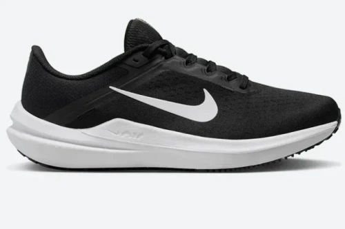 Кроссовки Nike Winflo 10 DV4022-003
