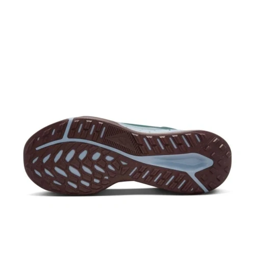 Кроссовки Nike Juniper Trail 2 Gore-Tex FB2067-300