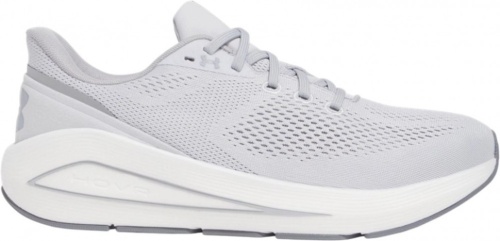 Кроссовки Under Armour UA Sonic 7 3028002-101